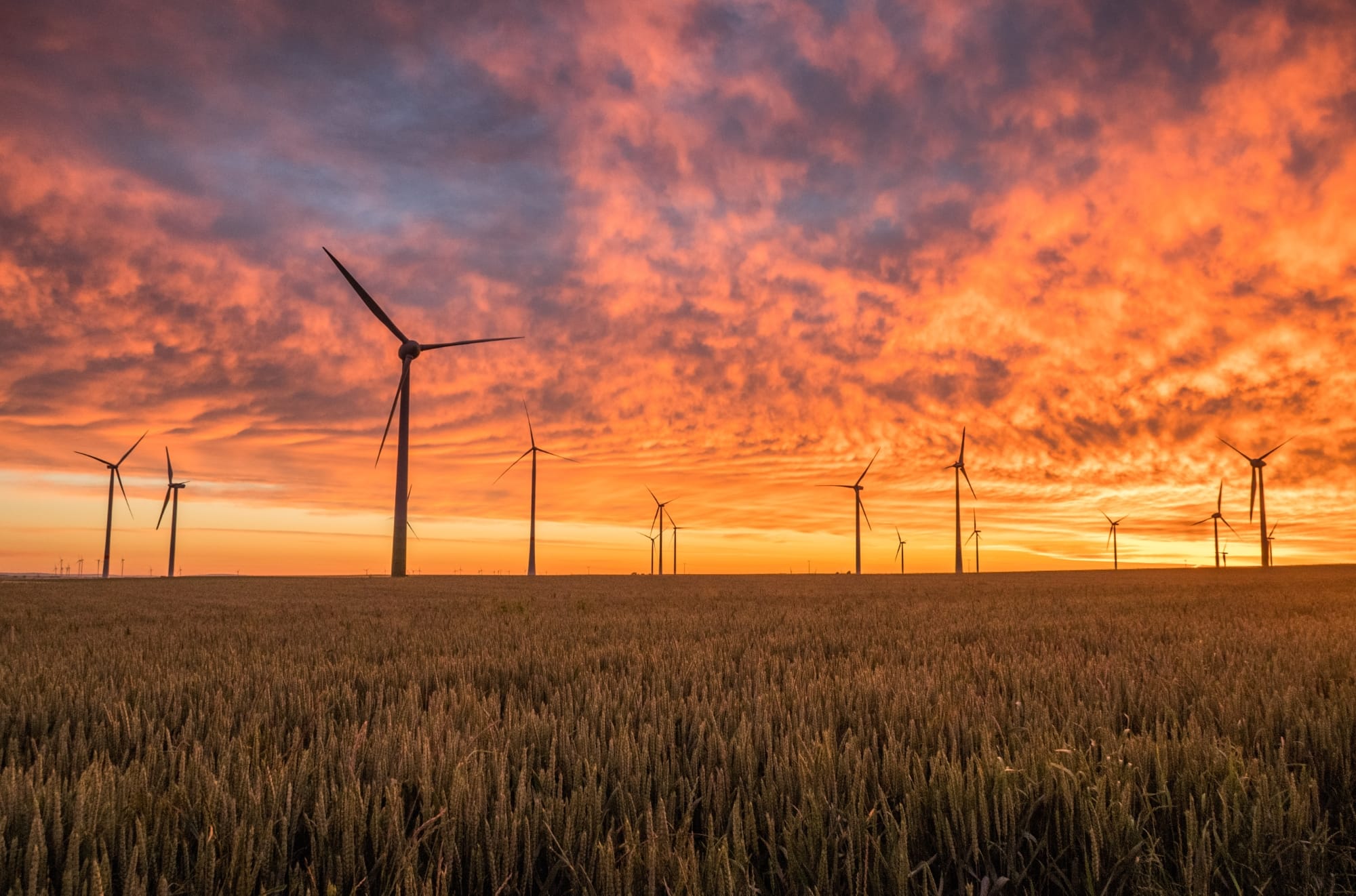 The Time Has Come | Micro Grids Meet Smart Systems | Wind Turbines at Sunset