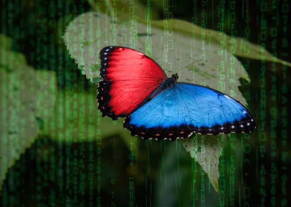 Inspired by Nature: The Wild World of Biomimicry | Matrix Butterfly