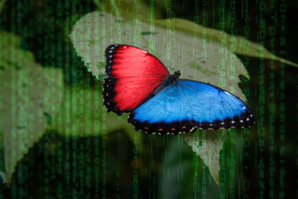 Inspired by Nature: The Wild World of Biomimicry | Matrix Butterfly