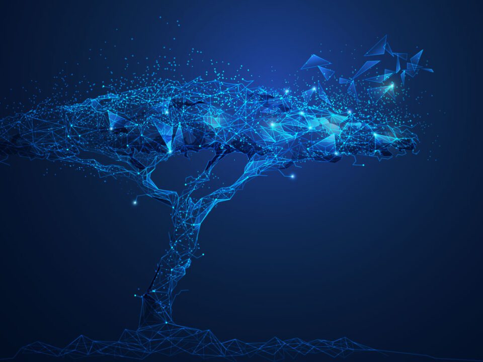 The Internet Beyond the Internet | M12 Microsoft Lee Feldman | Future Perfect Tech | Digital Tree